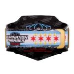Elimination Chamber 2026 Chicago Championship Replica Title Belt - Image 5