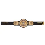 WWE World Tag Team Championship Replica Title Belt - Image 8