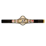 WWE Championship 1986 Retro Replica Title Belt - Image 6