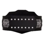 WWE ECW Championship 2008 Replica Title Belt - Image 5