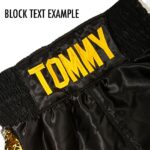 Gold/White Satin Boxing Short - Image 5