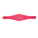 Los Angeles Dodgers WWE Legacy Title Belt - Image 6