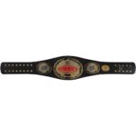 Michelle McCool Autographed Women's Championship Attitude Era Replica Title Belt with Inscription - Image 2
