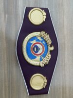 WBO Belt - Image 10
