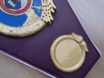 WBO Belt - Image 13