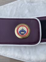 WBO Belt - Image 2