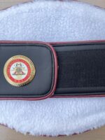 WBA Belt - Image 11