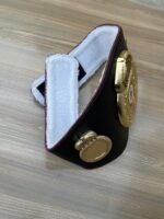 WBA Belt - Image 15