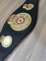 WBA Belt - Image 21