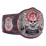 "Stone Cold" Steve Austin Blood From A Stone Signature Series Title Belt - Image 4