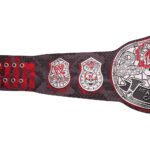 "Stone Cold" Steve Austin Blood From A Stone Signature Series Title Belt - Image 6