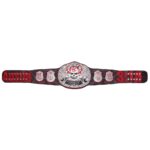 "Stone Cold" Steve Austin Blood From A Stone Signature Series Title Belt - Image 8
