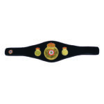 WBA Belt - Image 3
