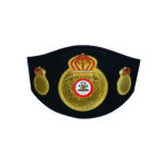 WBA Belt - Image 5