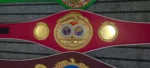 IBF Belt - Image 4