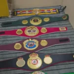IBF Belt - Image 2