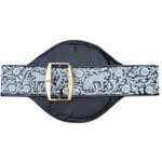 WBC Belt - Image 2