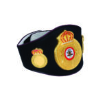 WBA Belt - Image 4