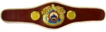 WBO Belt - Image 2