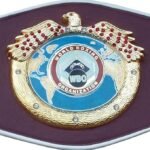 WBO Belt - Image 4