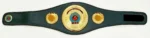 IBO Belt - Image 2