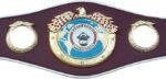 WBO Belt - Image 3