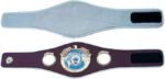 WBO Belt - Image 2