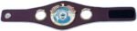WBO Belt