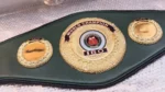 IBO Belt - Image 4