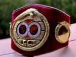 IBF Belt - Image 6