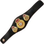WBA Belt - Image 3