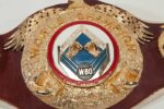 WBO Belt - Image 2