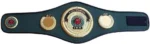 IBO Belt - Image 2