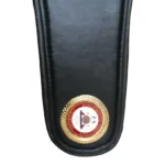 WBA Belt - Image 2