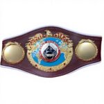 WBO Belt - Image 2