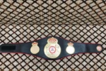 WBA Belt - Image 3