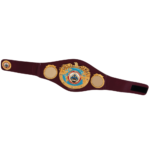 WBO Belt - Image 2