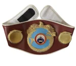 WBO Belt - Image 4